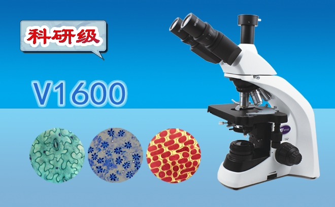 顯微鏡的工作原理以及高倍顯微鏡的使用方法是什么呢？