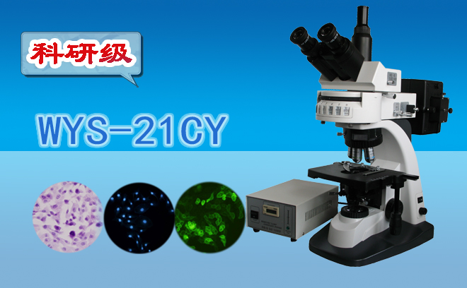 熒光顯微鏡技術包括哪幾種？