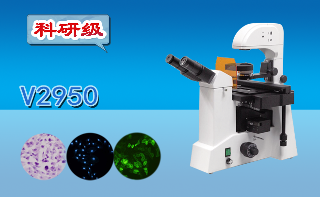 熒光顯微鏡的使用方法是什么？還不趕快收好這份使用手冊